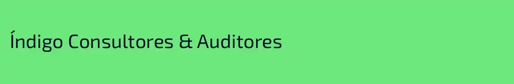 Índigo Consultores & Auditores